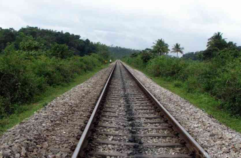 Green Corridor of Rajula Road-Rajula City segment राजुला रोड-राजुला सिटी खंड बना ग्रीन कोरिडोर