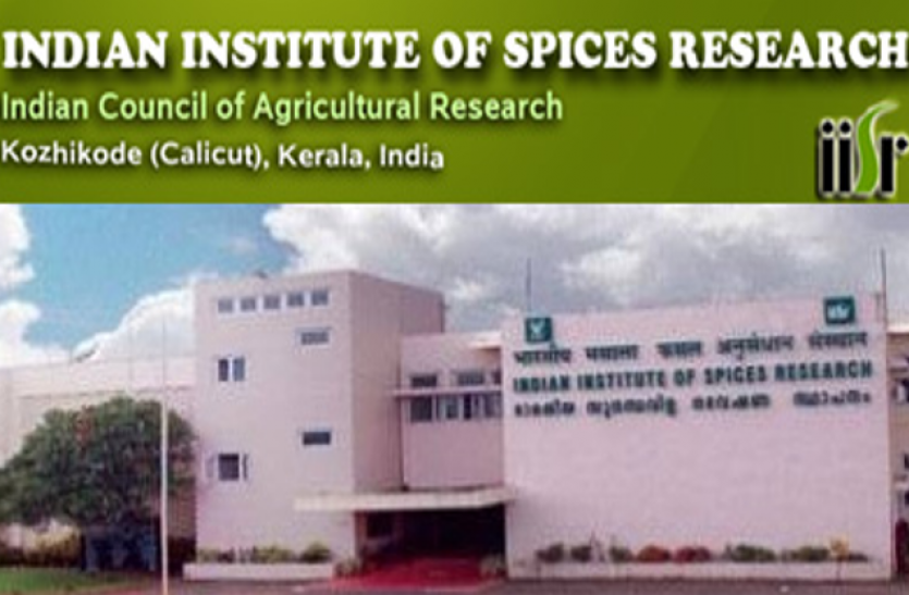 IISR jobs ICAR IISR Young Professional- यंग प्रोफेशनल II के पदों पर भर्ती, करें आवेदन