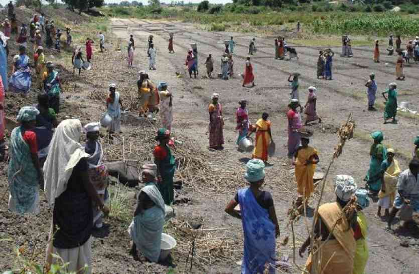 MNREGA, They did not even get work, left village इनको भी नहीं मिला काम, छोड़ा गांव