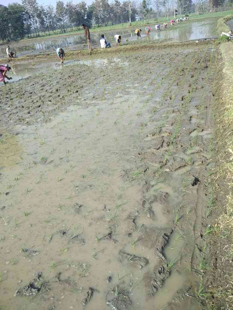 Farmers got water after 70 days