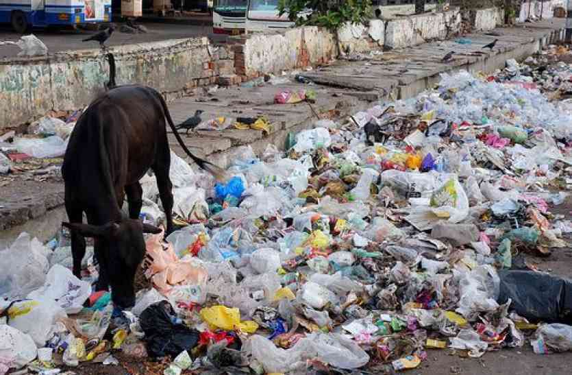 Alwar administration is responsible for bad condition of alwar अलवर शहर की समस्याओं को लेकर शहर वासियों ने इन्हें ठहराया जिम्मेवार