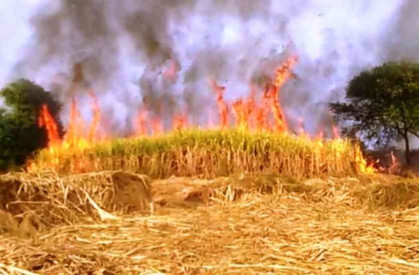 fire 20 एकड़ गन्ने की फसल जली