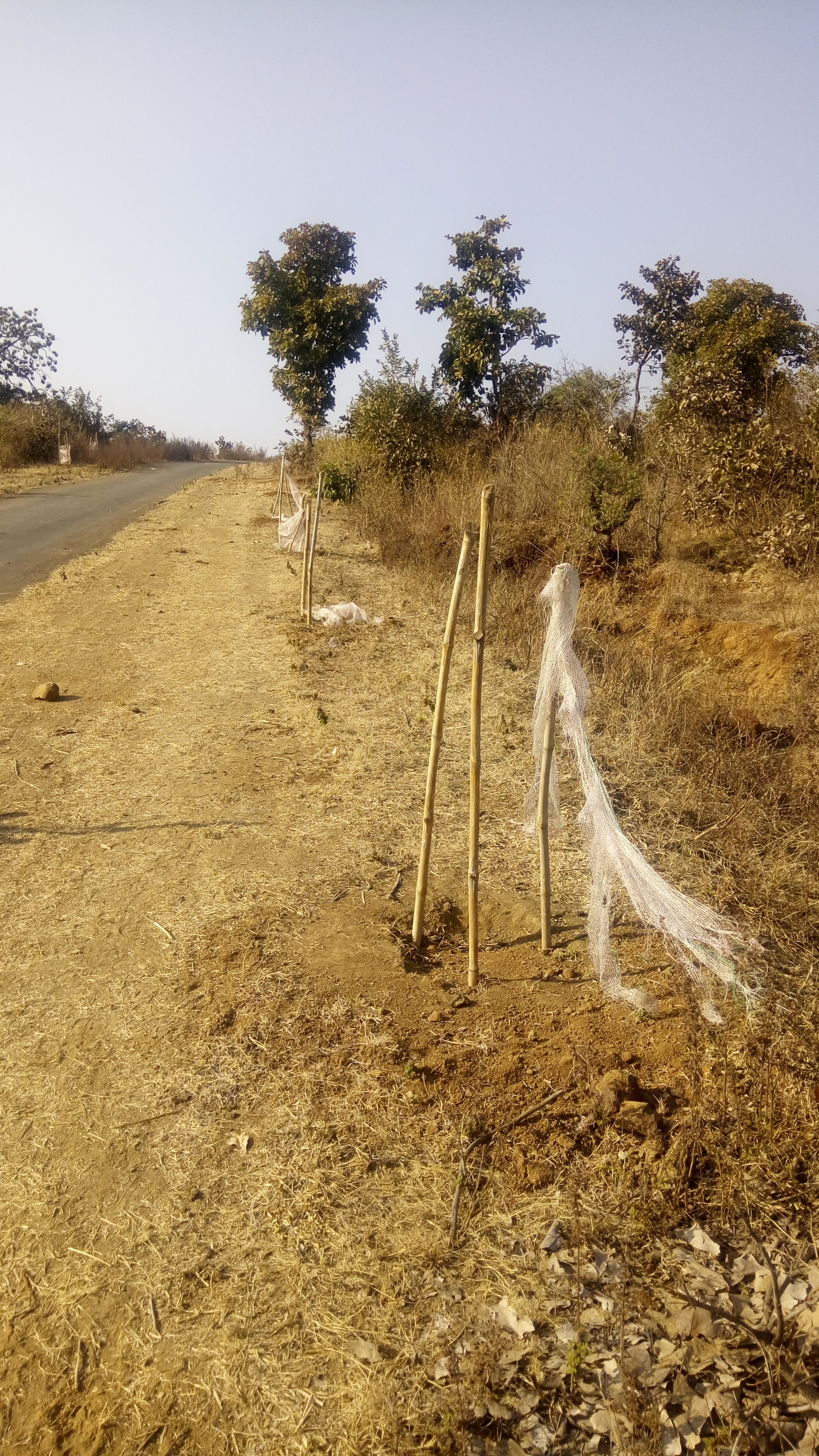 chhindwara मानव संसाधन विकास मंत्री के गांव के ये देखिए हालात