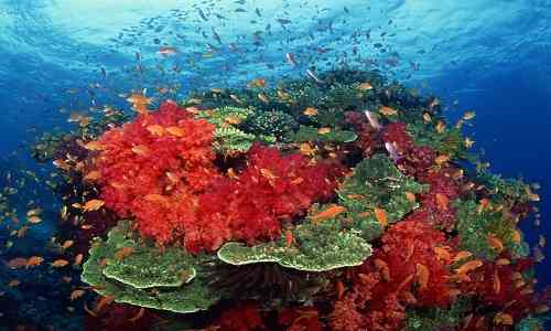 Bay of Bengal,deep depression bay of bengal,Port Blair,Andaman and Nicobar islands,Intresting News,
