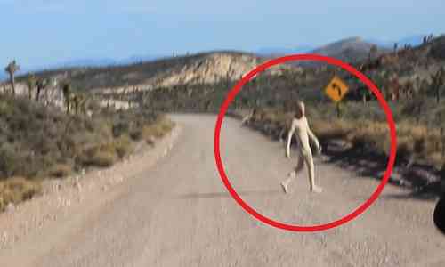 Area-51