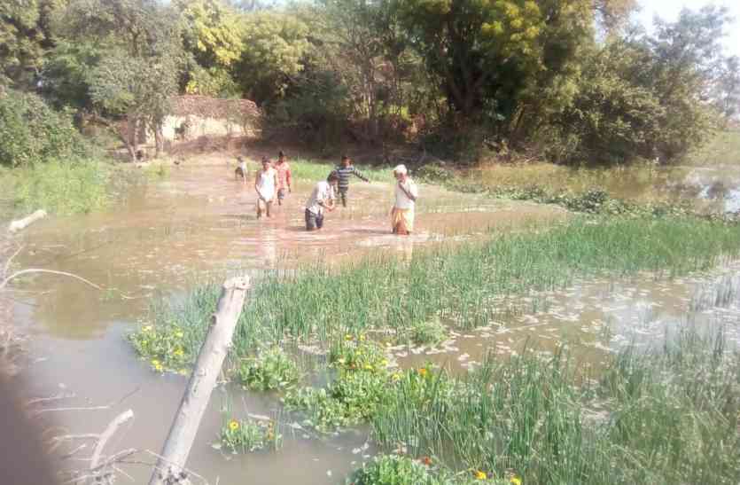 river,datia river,kanal,kanal footy,datia news,datia news in hindi,mp news नहर फूटी सैकड़ों बीघा फसल डूबी
