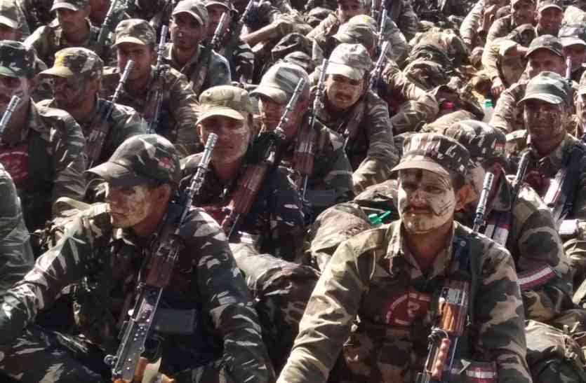 CRPF, Navrakshak, Training, DIG, Jungle, Tour, shivpuri news, shivpuri news in hindi, mp news सिर झुकाकर चलें जंगलों में : डीआईजी