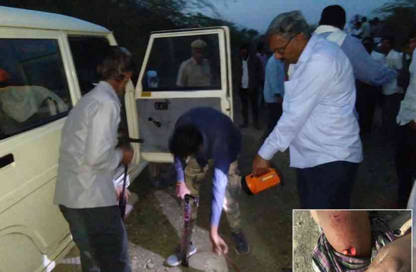 Panther came in Sanchore-Hadecha जालोर से भेजी ट्रैंकुलाइजर गन, लेकिन चलाने वाला नहीं, पैंथर को पकडऩे जोधपुर से बुलाने पड़े एक्सपर्ट