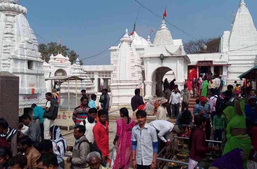 Shiva and Narmande Hare, who were engaged in Amarkantak Nagar, celebra अमरकंटक नगरी में लगे शिव व नर्मदे हर के जयकारे, श्रद्धालुओं ने शिव का किया जलाभिषेक
