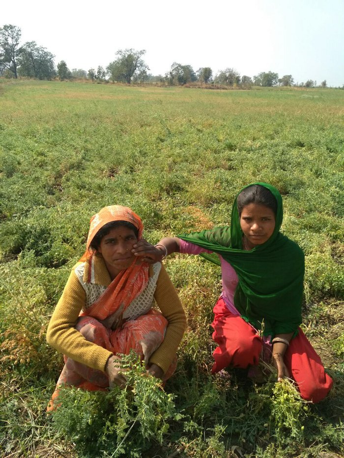farmers do not stop tears आसमान से गिरे ऑफत के बाद किसानों के नहीं रूक रहे आंसू