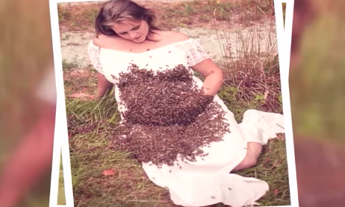 Bizarre News,bizarre world news,bizarre talent,Bees attack,bees,bizarre incident,bizarre behavior,maternity photoshoot,