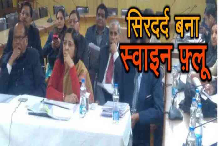 swine flu rajasthan