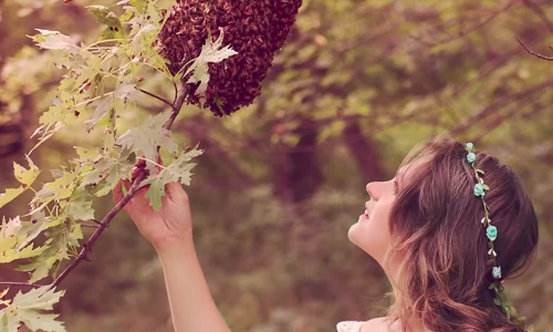 Bizarre News,bizarre world news,bizarre talent,Bees attack,bees,bizarre incident,bizarre behavior,maternity photoshoot,