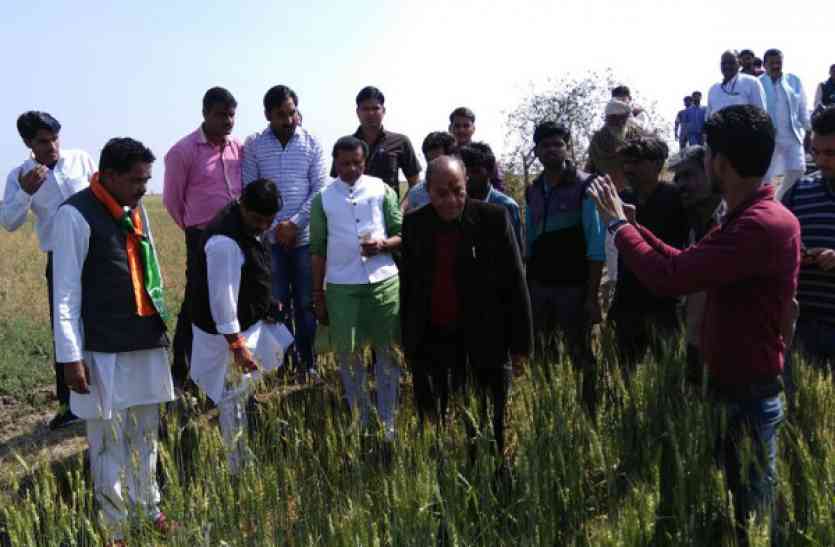 crops कृषि मंत्री से बोले अन्नदाता- न बीमा का पैसा मिला न मुआवजा