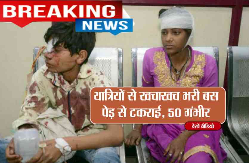 Madhya Pradesh Bus Accident यात्रियों से खचाखच भरी बस पेड़ से टकराई, 50 गंभीर- देखें वीडियो
