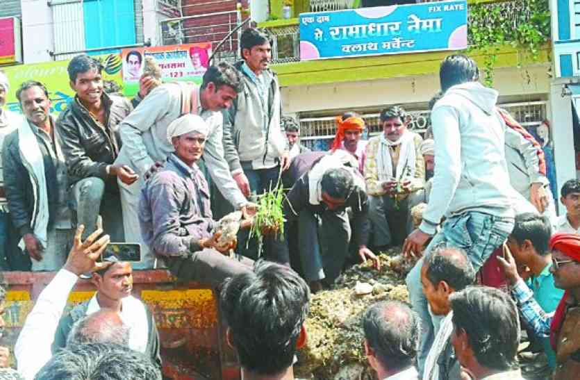 Hailstorm with torrential rain ट्रॉली में खराब हुई फसल लेकर पहुंचे किसान