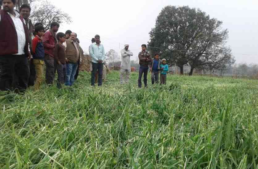 Chhatarpur केंद्रीय राज्य मंत्री पहुंचे कैथोकर गांव, अफसर नहीं दिखे मैदान में