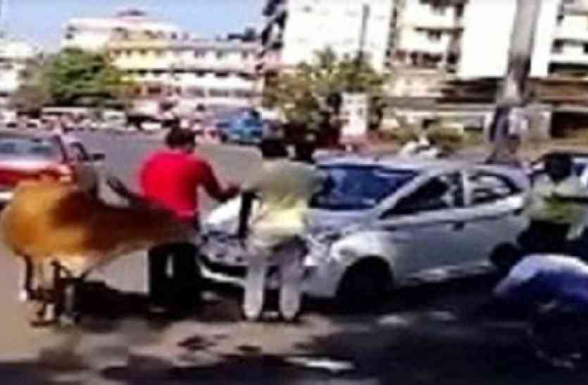 cow बछड़े को बचाने के लिए गाय ने मांगी लोगों से मदद, वायरल हुआ मां की ममता का ये वीडियो