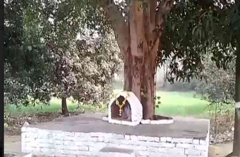 kanpur इस आश्रम पर रहनुमा बनकर प्रकृति भी बरसाती है अपनी कृपा