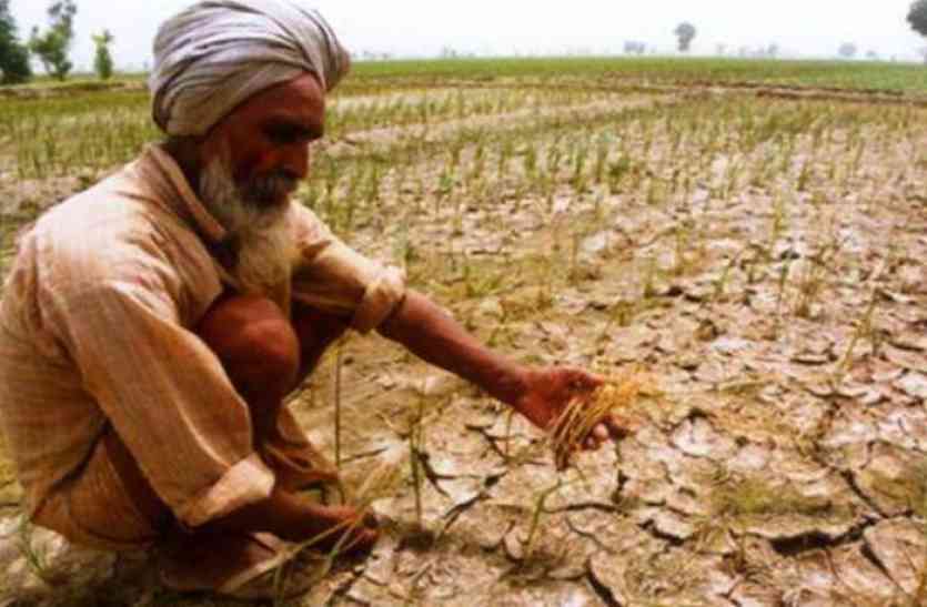 farmers are't paying loan for 8 to 10 years कर्ज लेकर भूले किसान, 150 करोड़ रुपए सालों से जमा नहीं, जानिए पूरी खबर
