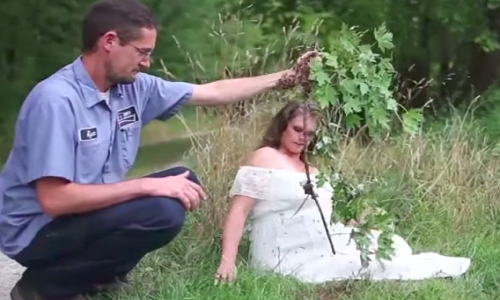 Bizarre News,bizarre world news,bizarre talent,Bees attack,bees,bizarre incident,bizarre behavior,maternity photoshoot,