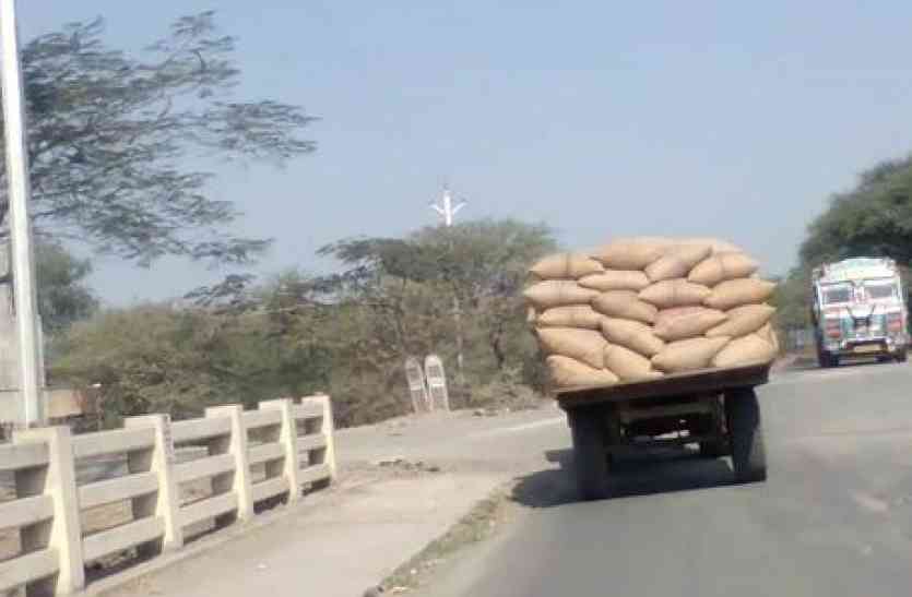 patrika रतलाम मंडी में बिकी उपज तुल रही व्यापारियों के गोदामों पर...