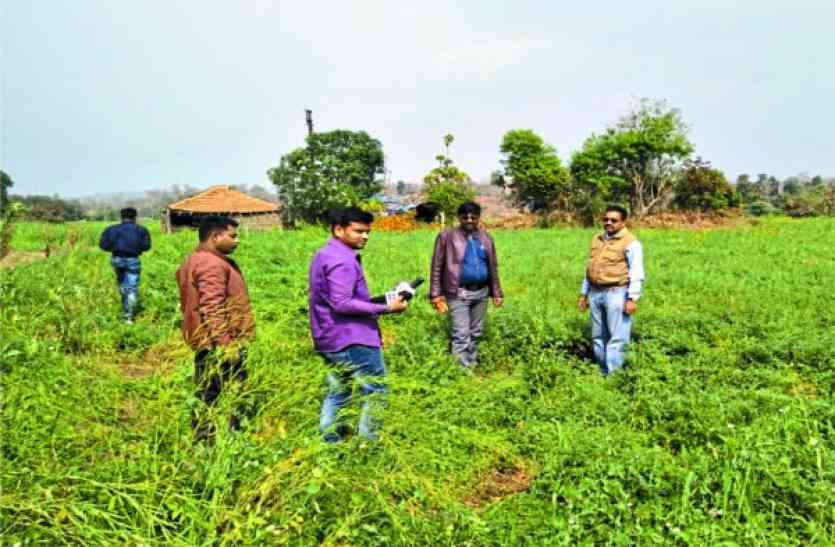 Demand for farmers of 93 villages here यहां के 93 गांवों के किसानों पर पड़ी आेले की मार