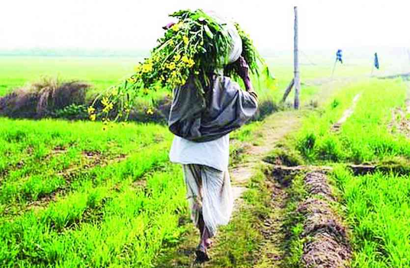 किसान खेत से फसल ले जाता हुआ अब किसानों को उम्मीद के मुताबिक मिलेंगे उपज के दाम