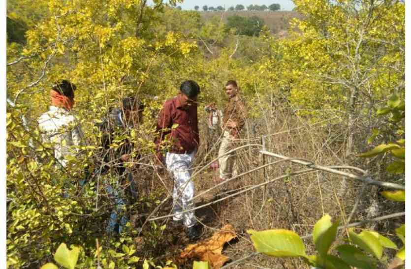 Death of a woman in the forest of madhya pradesh,murder,murder,murder in forest,rape and murder,crime,crime in jabalpur,Crime in Jabalpur,women dead body found in forest of katni,katni police ,Jabalpur, जंगल में गई महिला को आधा खा गए जानवर, देखें वीडियो