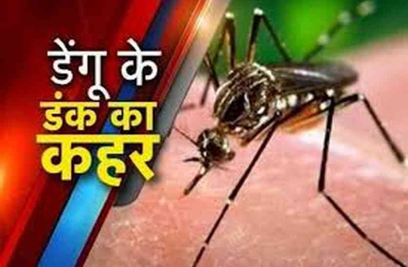 dengue patients increasing in alwar अलवर में तेजी से बढ़ रहे डेंगु के मरीज, रखें यह सावधानी
