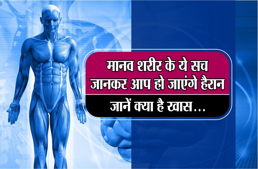 know-the-interesting-facts-about-human-body-in-hindi