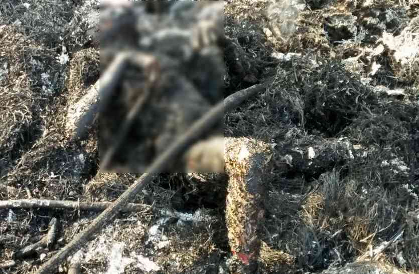 Innocent burnt alive Breaking News : जिंदा जल गई मासूम नातिन, नानी के साथ मटर के खेत में दे रही थी पहरा