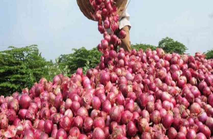 Case of onion storage in Katni reached assembly मध्यप्रदेश सरकार के आला अधिकारी क्यों नहीं कर रहे प्याज मामले में कार्रवाई