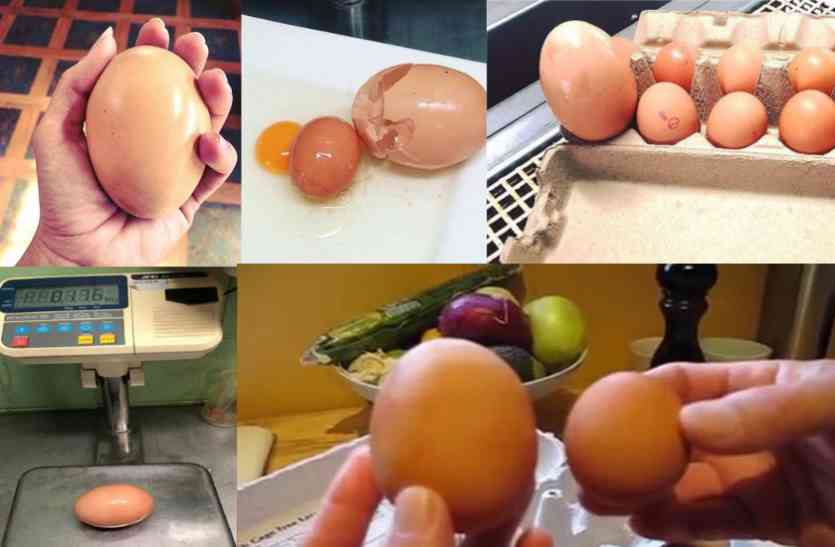 Egg यहां निकला अंडे में अंडा ! 95 साल से चल रहा मुर्गी फार्म भी हैरान