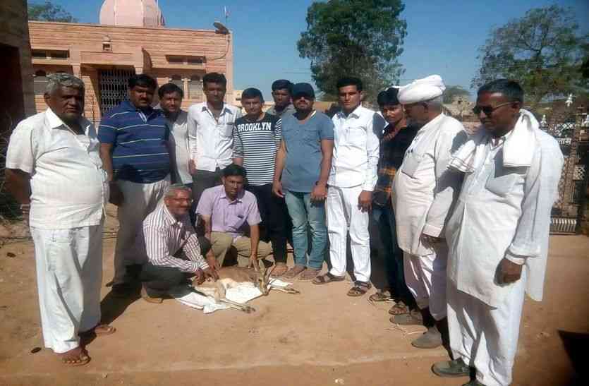 Jaisalmer patrika JAISALMER NEWS- तो क्या जैसलमेर के इस गांव में दीवारें करती है इलाज, उपस्वास्थ्य केन्द्र पर लगा रहता है ताला?