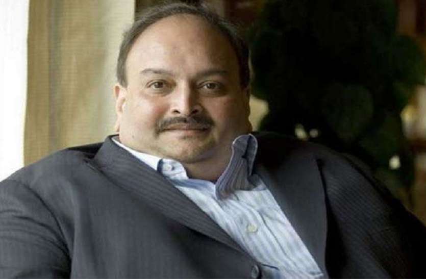 Mehul choksi PNB Ghotala: मेहुल चोकसी पर ईडी की बड़ी कार्रवाई, मर्सिडीज बेंज समेत 24.77 करोड़ की संपत्ति जब्त