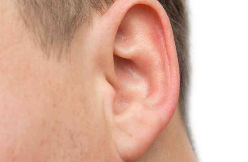 ears tell connection of luck क्या आपको पता है आपके कान बताते है आपका किस्मत कनेक्शन