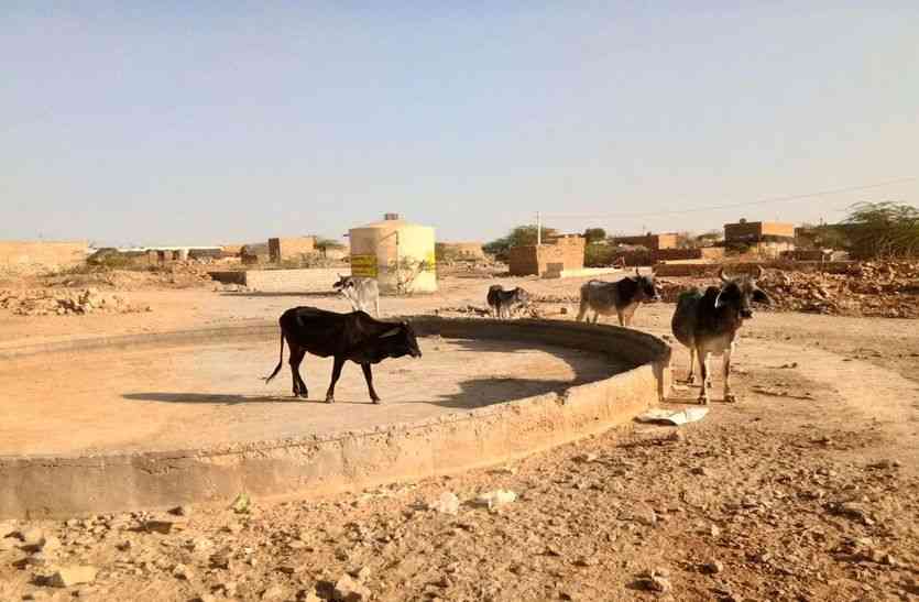 Jaisalmer patrika