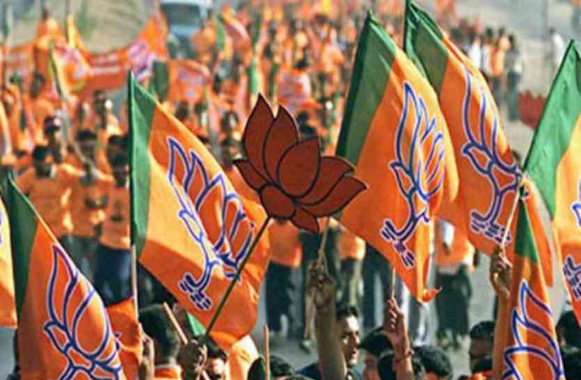 chhattisgarh bjp नहीं थम रही छत्तीसगढ़ BJP की जनसम्पर्क यात्रा , तीसरे दिन भी जोर शोर से प्रचार