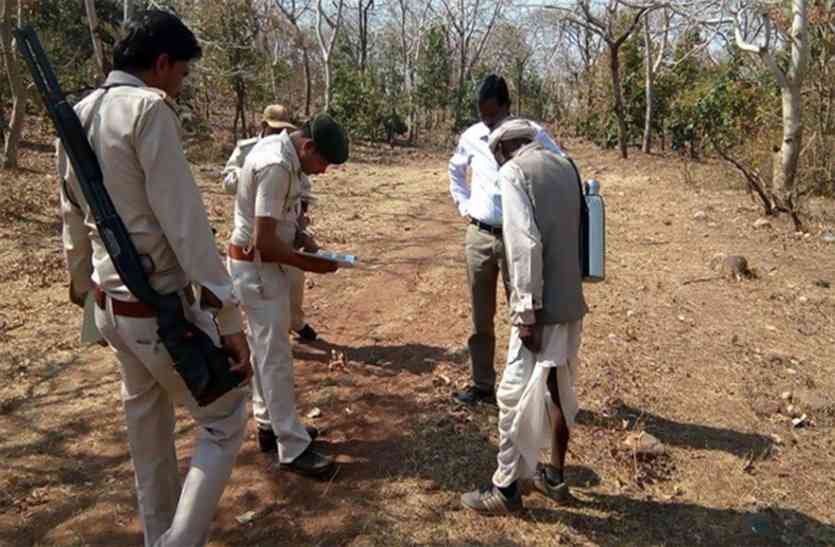 foot prints केदारनाथ के जंगल में मिले तेंदुआ और भालू के पगमार्ग