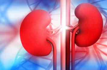 kidney disease kidney disease