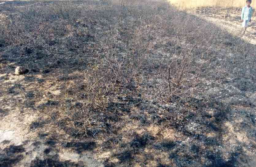 Crops destroyed due to high tension line in chitrakoot UP news अन्नदाताओं की मेहनत को राख करतीं हाई टेंशन लाईनें, हर साल लाखों की फसल होती है कुर्बान
