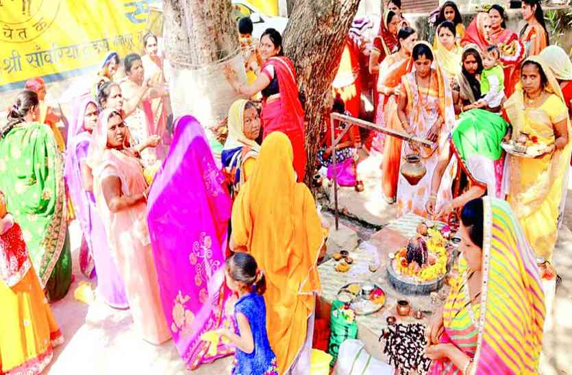 alirajpur पीपल के पेड़ का पूजन कर लगाई परिक्रमा