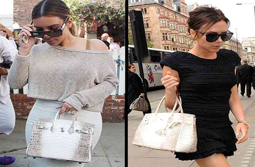 VIP zone,VIP,Handbag,Amazing Handbag,Rare handbag,crocodile,diamonds,Anatomy,stylish handbag,girls handbag,white gold,