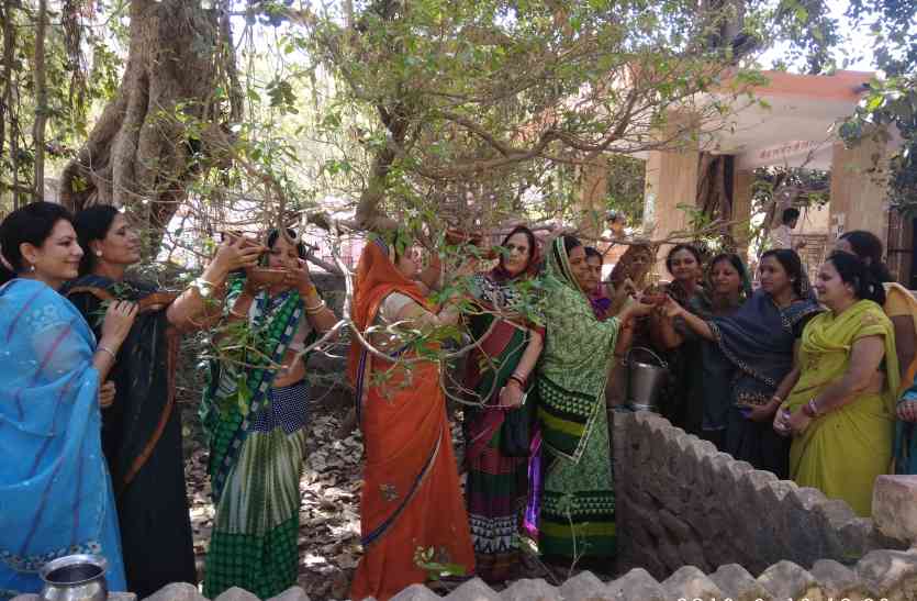 PATRIKA CAMPAIGN: bird friend ....Binds Prinde the trees in the garden ...ताकि गर्मियो के दिनो में पक्षी प्यासे ना मर जाए
