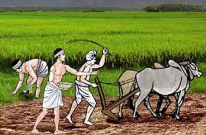 Responsibility for this great work entrusted to Tehsildars तहसीलदारों को सौंपी गई इस बड़े काम की जिम्मेदारी