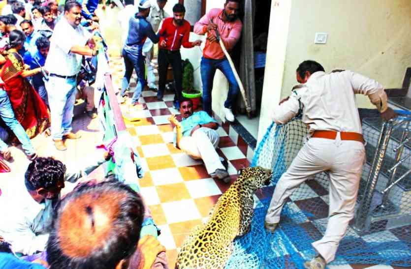 van बचने के लिए जाल, हेलमेट और लाइफ जैकेट तक नहीं है वन विभाग के पास