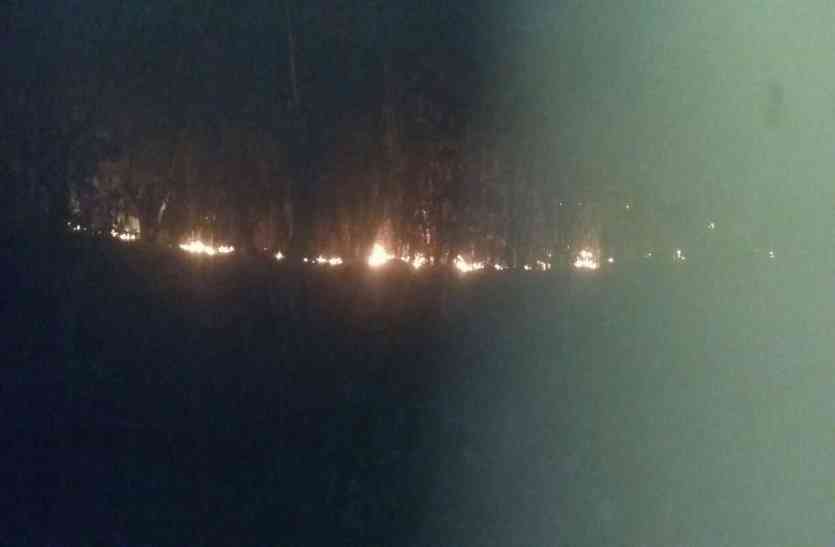 patrika Breaking: बागनदी जंगल में लगी भीषण आग, लोगों की सूचना पर भी नहीं पहुंचा वन विभाग का अमला, Video