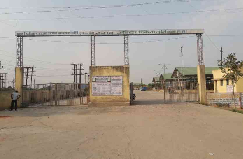 Datia Mandi, government-of MP,madhya-pradesh latest news, MP news,datia news,datia news in hindi,mp news तीसरी आंख से होगी मंडी में तौल की निगरानी