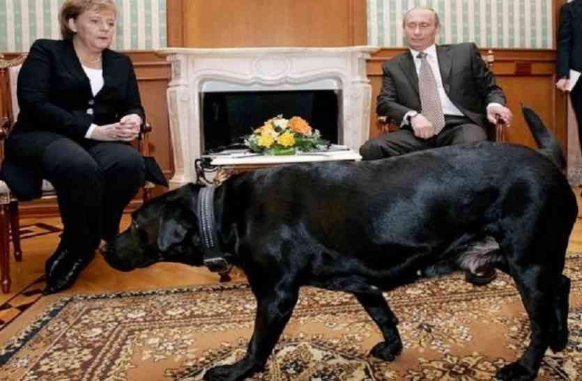 Angela Merkel कुत्तों के नाम से ही उड़ जाते हैं एंजेला मर्केल के होश, कैंसिल कर देती हैं बड़े-बड़े कार्यक्रम